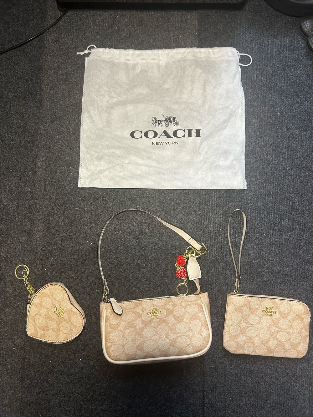 Women bag set